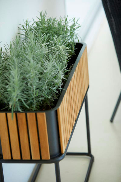 Kasviteline Combine 83 x 28 cm