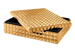 [EICH-110051] Rasia Viviënne L 30 x 40 cm, Gold